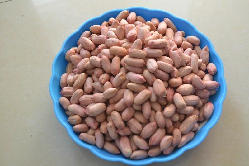 New Crop Large Peanut Kernel