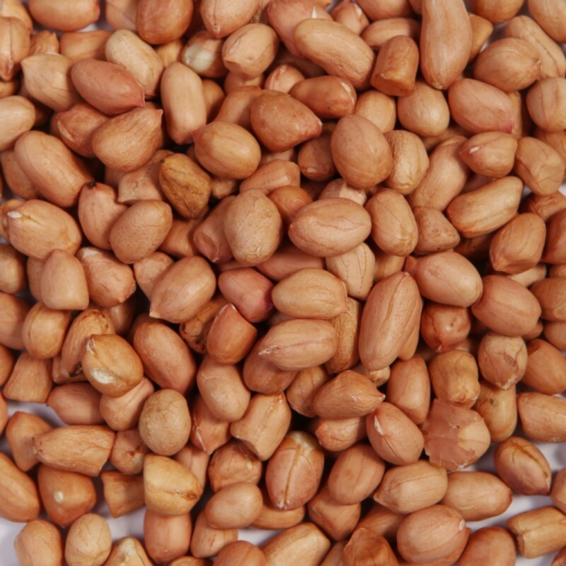 Chinese Round Type Peanut Kernel