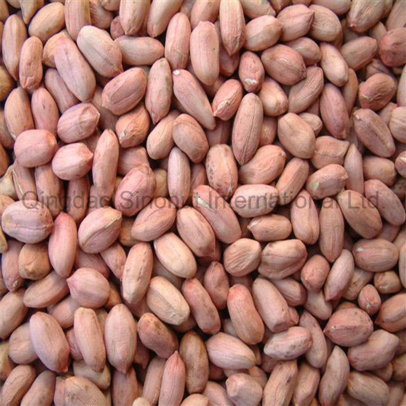 Crop Peanut Kernels with 24/28, 28/32