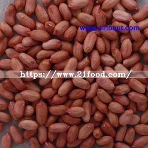 Round Type Peanuts Without Skin