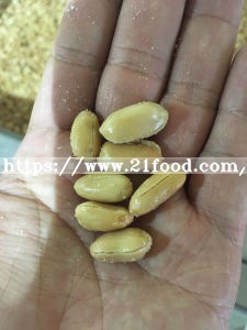 Roasted Peanut Kernels Salty and Unsalty Taste