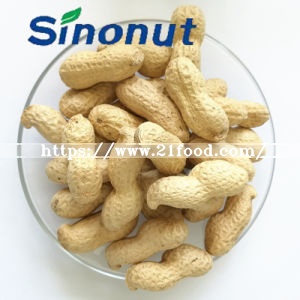 Luhua Type Peanut in Shell