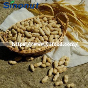Luhua Type Peanut in Shell