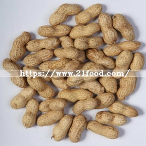 New Crop Large Peanut Kernel