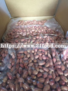 New Crop Large Peanut Kernel