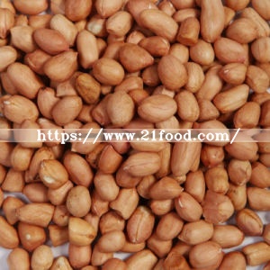 Chinese Round Type Peanut Kernel