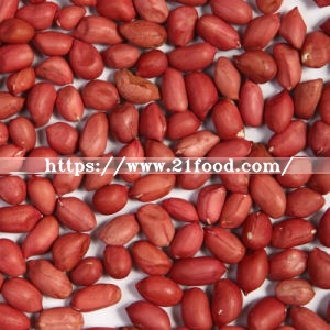 Chinese Round Type Peanut Kernel