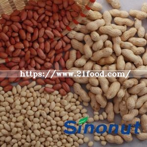 High Quality Peanut Kernels