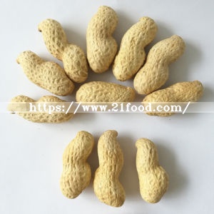 Peanut in Shell with Three Seeds