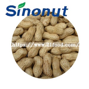 Washed Peanut in Shell