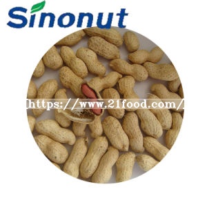 Washed Peanut in Shell