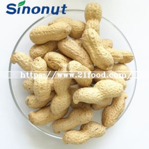Washed Peanut in Shell