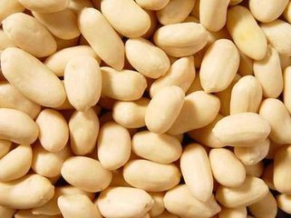 Blanched Peanut Kernels, Peanut Kerenls, Peanut, Groundnuts Kernels