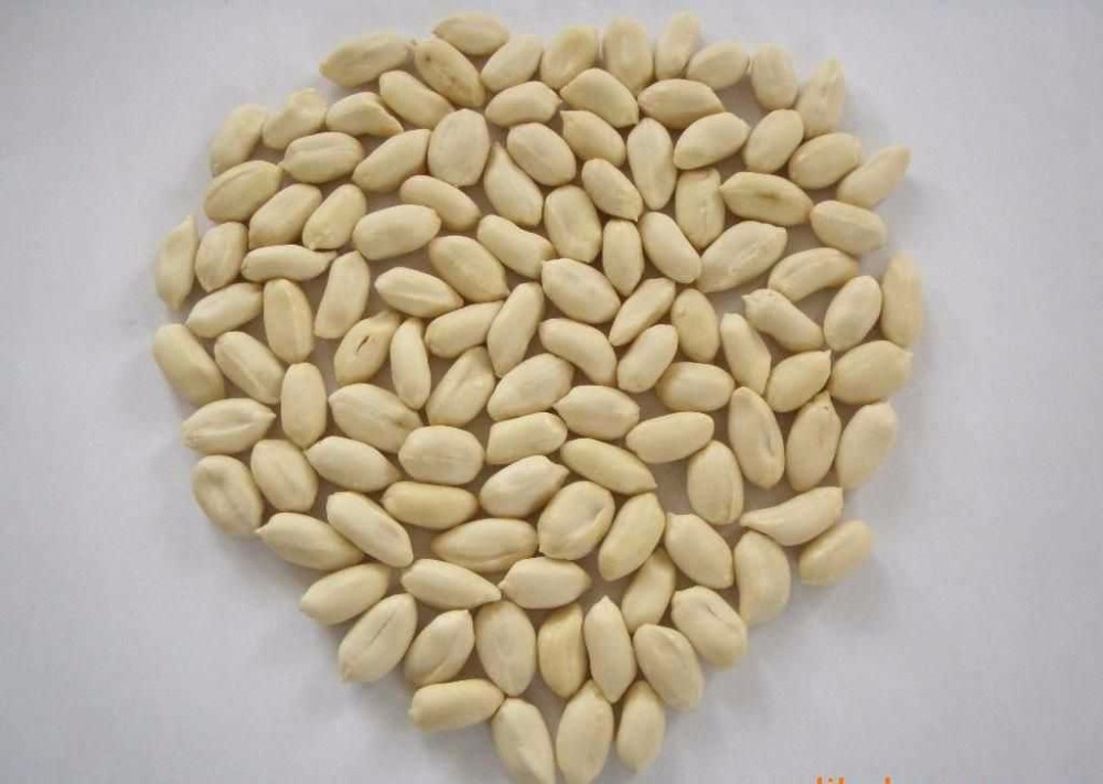Blanched Peanut Kernels, Peanut Kerenls, Peanut, Groundnuts Kernels