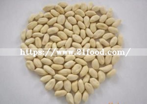 Blanched Peanut Kernels, Peanut Kerenls, Peanut, Groundnuts Kernels