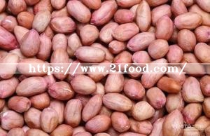 Long and Round Type Chinese Raw Red Skin Peanut Kernel