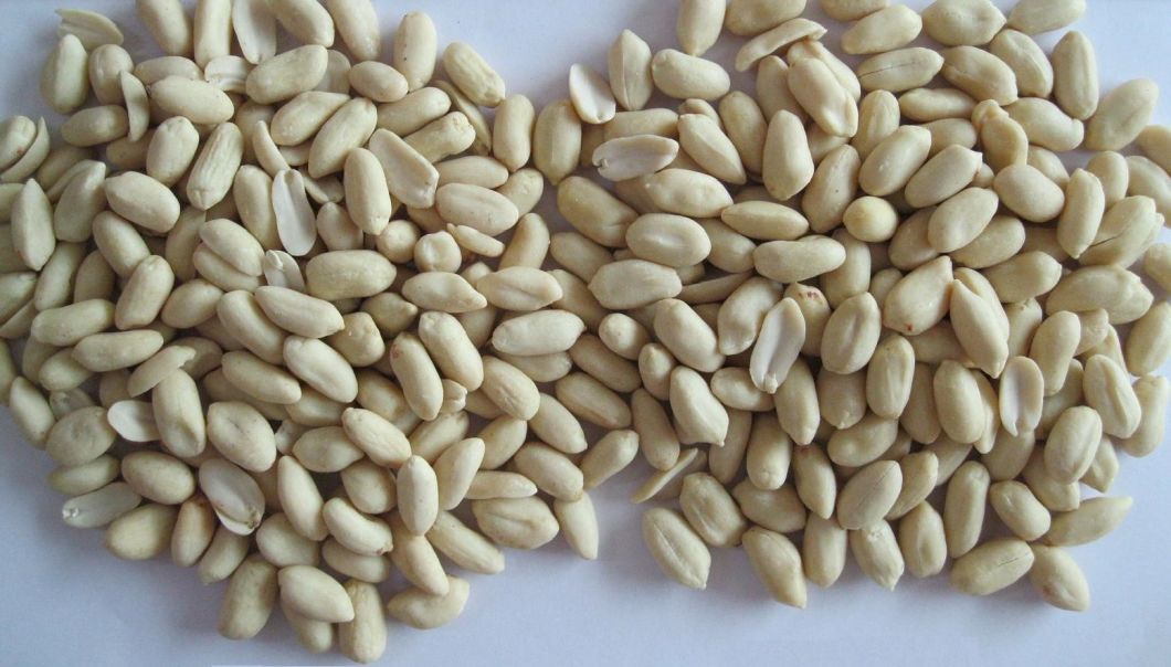 Competitive Peanuts with Red Skin (50/60)