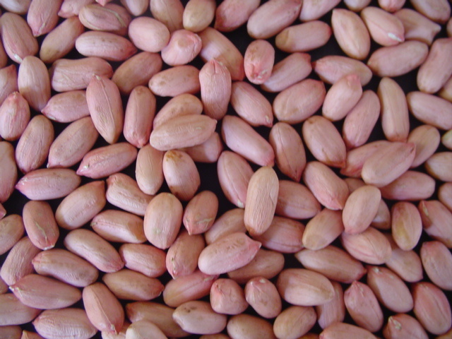New Crop High Quality Red Skin Peanut Kernels