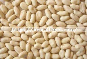 Competitive Peanuts with Red Skin (50/60)
