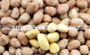 High Quality Peanut Kernel 28/32