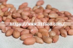 High Quality Peanut Kernel 28/32