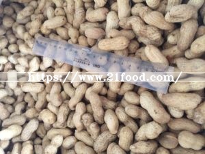 High Quality Red Skin Peanut Kernel