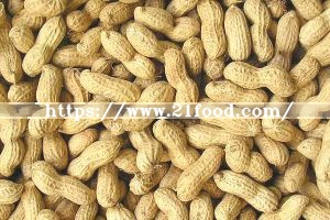 Good Quality Peanuts in Shell (7-9)