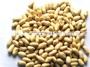 New Crop for Exporting Red Skin Peanut Kernel
