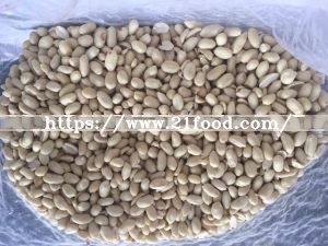 High Quality for Exporting Peanut in Shell