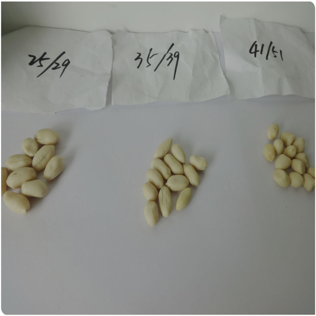 Dongbei Origin Nut and Seed Baisha Round Shape Peanut Kernel