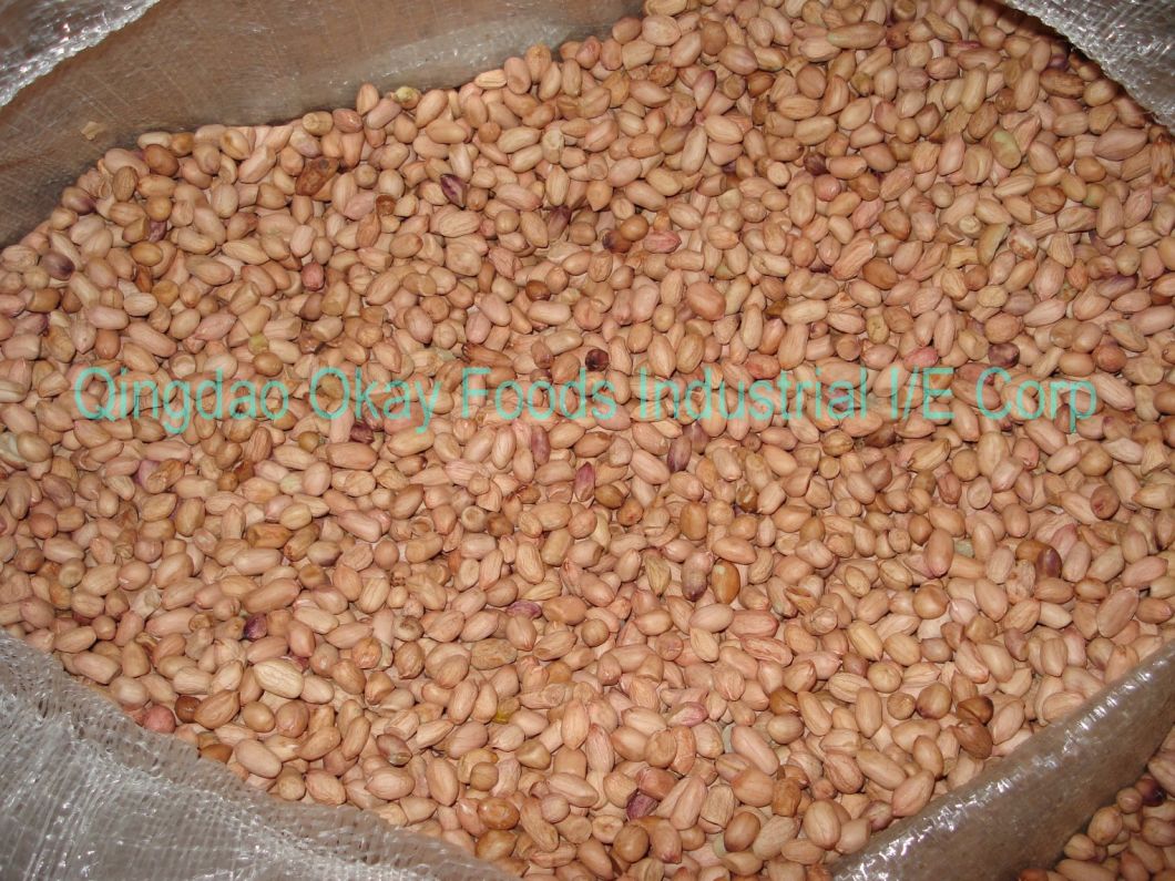 Dongbei Origin Nut and Seed Baisha Round Shape Peanut Kernel