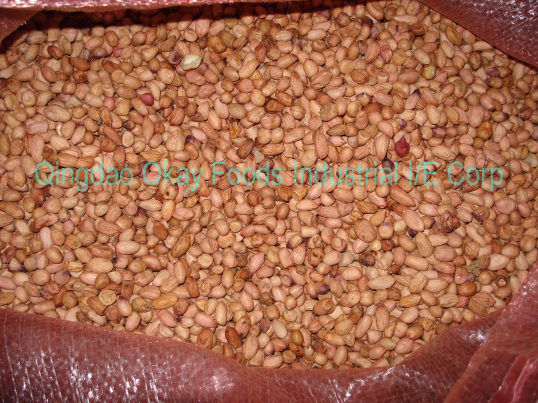 Low Aflatoxin Dongbei Peanut Kernel From China