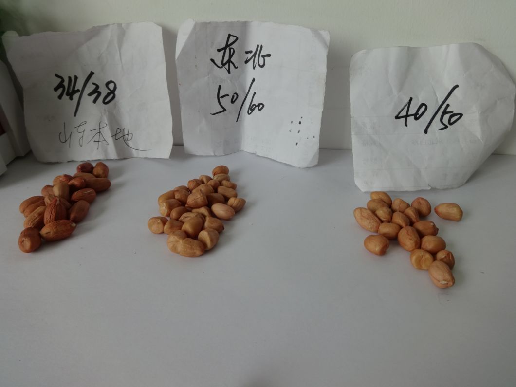 Hot Sale Red Skin Peanut Premium Quality