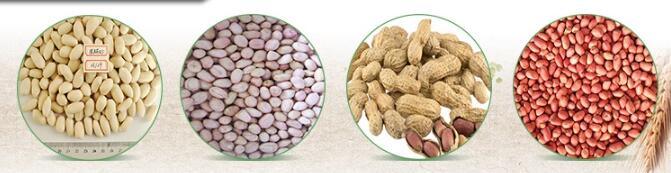 Hot Sale Red Skin Peanut Premium Quality