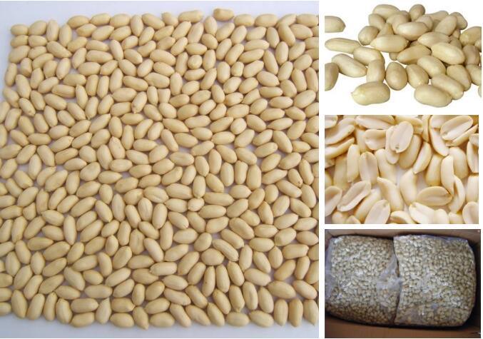 Food Ingredient Tog Grade Dehydrated Raw Red Skin Peanut for Export