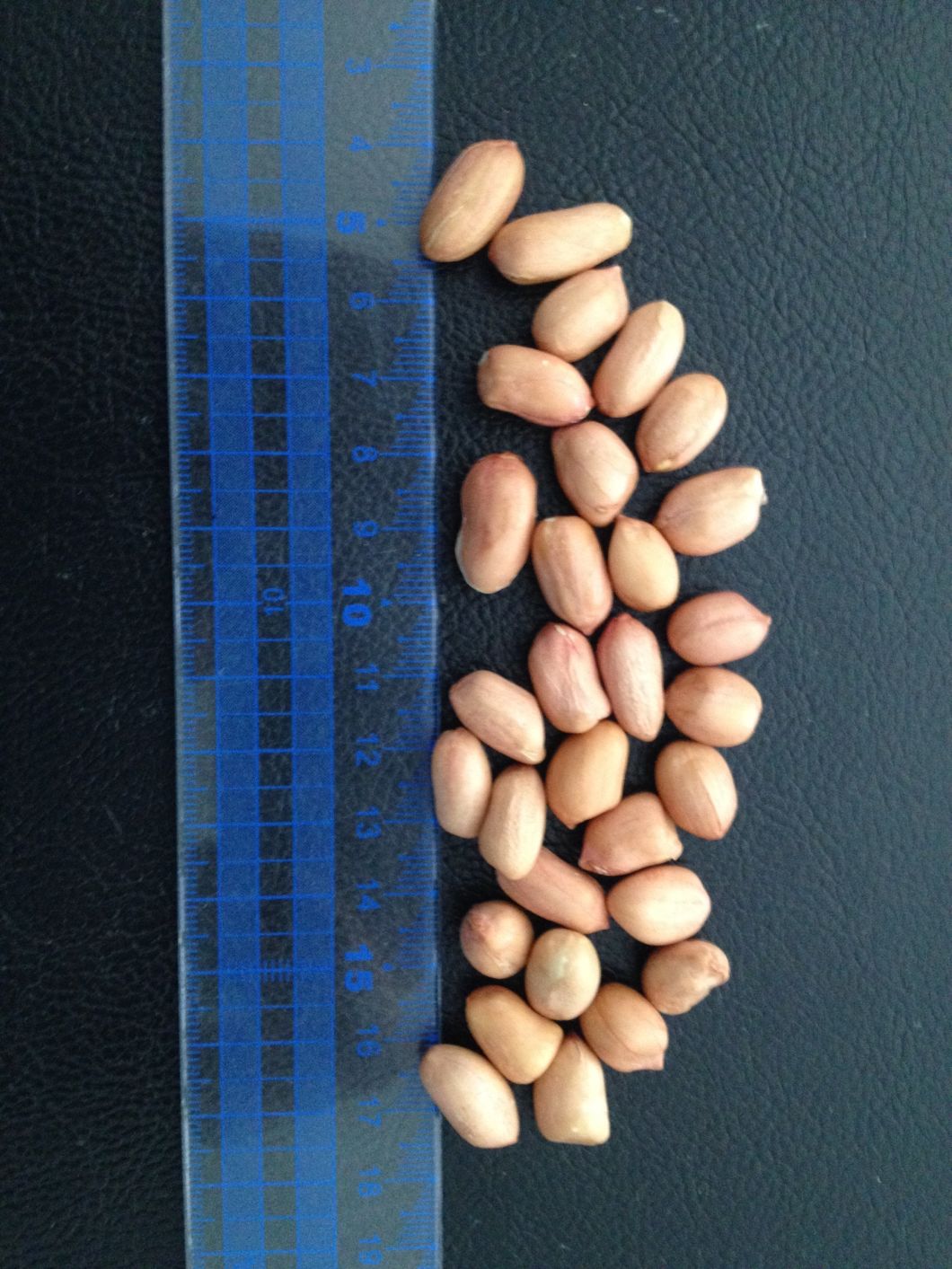 China Low Aflatoxin Round Shape Peanut Kernel