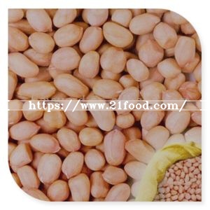 Dongbei Origin Nut and Seed Baisha Round Shape Peanut Kernel