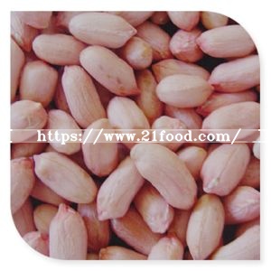 Blanched Peanut Kernel From Dongbei with Low Aflatoxin in China