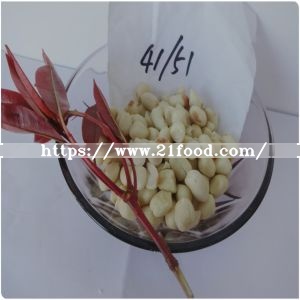 Blanched Peanut Kernel From Dongbei with Low Aflatoxin in China