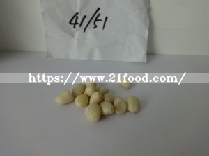 Hot Sale Red Skin Peanut Premium Quality