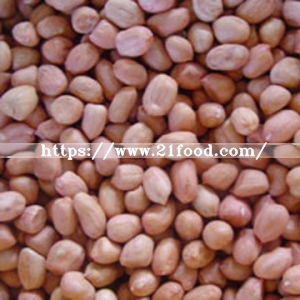 Low Aflatoxin and Low Tpc Dongbei Peanut Kernel From China Shandong