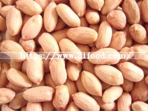 Food Ingredient Tog Grade Dehydrated Raw Red Skin Peanut for Export