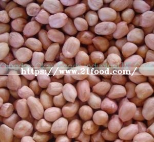 Food Ingredient Tog Grade Dehydrated Raw Red Skin Peanut for Export