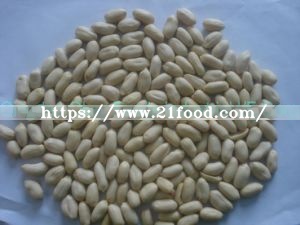 Food Dehydrated Raw Red Skin Peanut for Export