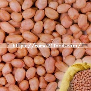 Food Dehydrated Raw Red Skin Peanut for Export