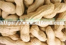 Food Dehydrated Raw Red Skin Peanut for Export