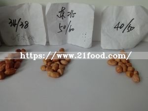 China Low Aflatoxin Round Shape Peanut Kernel