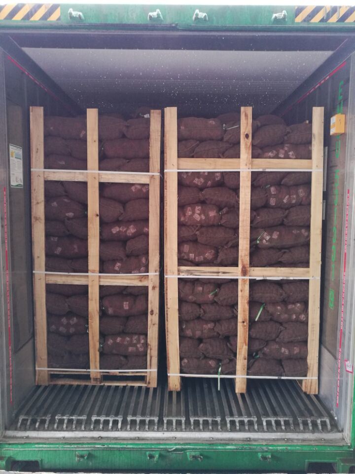 New Crop Chestnut with Gap Certificated