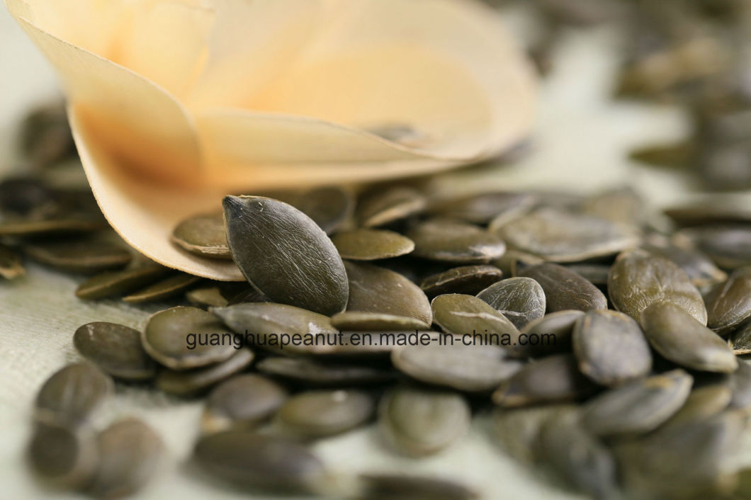 New Crop Grow Without Shell Pumpkin Seeds AAA From China