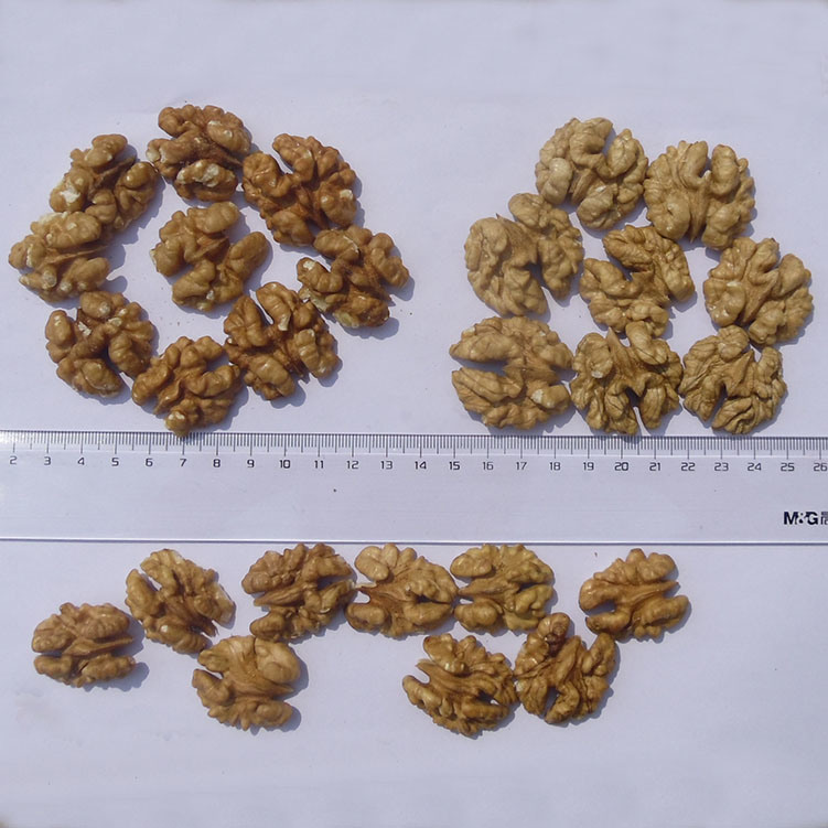 Walnut Kernel
